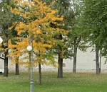 Завтра в Астрахани последний летний денёк