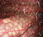  Растениеводы Астраханской области реализовали первый миллион тонн обовщей