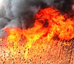 На юго-восточной окраине Астрахани горит ландшафтный пожар