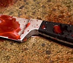 Братоубийство на пьяной почве произошло в Астраханской области