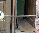 Большая змея поселилась в жилом доме и напугала домочадцев