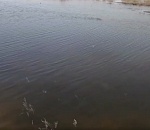 Ну, поплыли: у астраханского Аэропорта засняли огромное озеро