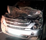 В Астраханской области бесхозная беременная лошадь спровоцировала серьезную аварию