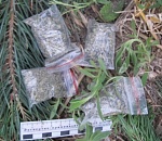 Бдительные астраханцы помогли схватить драгдилера