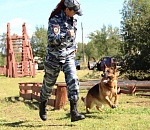 Подвыпивший житель Ахтубинска избил  жену и толкнул на бетонные плиты девушку-полицейского