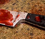 В Астрахани пошел под суд учитель музыки, устроивший из ревности  поножовщину дома у своего ученика