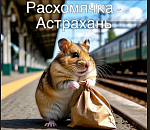 Зимняя «расхомячка» пройдет на астраханском вокзале