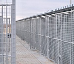 В астраханском селе завершают строительство приюта для бездомных собак