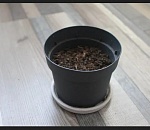 Астраханская область подарила 70 гектаров землицы