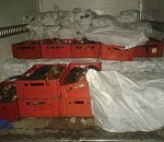 2 тонны рыбы без документов не доехали из Астрахани в Ульяновск