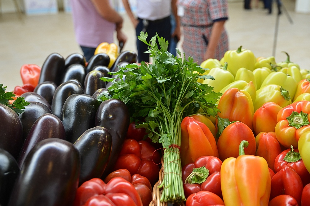 Завтра в Астрахани пройдет большой праздник урожая