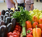 Завтра в Астрахани пройдет большой праздник урожая