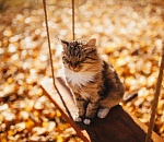 Завтра в Астрахани температура воздуха поднимется до +22°