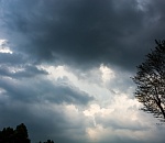 Тепло, но мокро будет в Астраханской области во вторник 