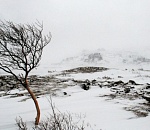В среду синоптики обещают астраханцам очень сильный ветер