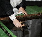 В Астрахани на Крещение оборудуют четыре места для купания