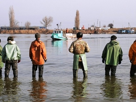 Осенняя не помогла: за сезон-2025 астраханские промрыбаки вновь выловили меньше, чем годом ранее