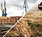 Иранские компании готовы выращивать рис в Астраханской области