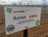 МТС и АГУ вступили в борьбу с опустыниванием Астраханской области