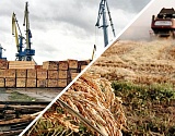 Иранские компании готовы выращивать рис в Астраханской области