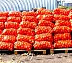 Из Астраханской области в Казахстан вновь вернули большую партию лука, которую везли неизвестно куда