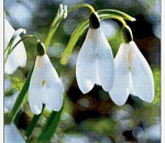 Астраханская погода в марте