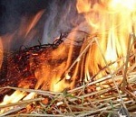 В Астрахани дети спалили 45 тонн сена