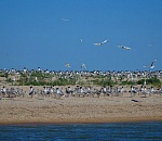 На программу экологической безопасности в 2017 году ЛУКОЙЛ направил свыше 4,5 миллиардов рублей