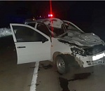 Подросток погиб в ДТП с лошадью под Астраханью 