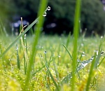В воскресенье астраханцам обещают жару и небольшой дождь
