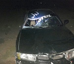 Под Астраханью лошадь бросилась под колеса иномарки: пострадали пятилетний мальчик и его мать