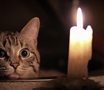 Сегодня свет отключат на 32 улицах Астрахани