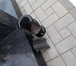 В Астраханской области осквернили мемориал участникам боевых действий