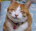 В Астрахани полицейские спасли на пожаре трех женщин и кошку