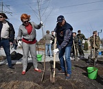 В Астрахани назло вандалам прошел общегородской субботник