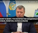 Игорь Бабушкин: комментарии в моем Инстаграм начинаются и заканчиваются собаками и мостами