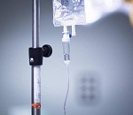 Маленькую астраханку, на которую в бурю упало дерево, транспортировали в Москву