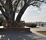 Вокруг астраханского тополя на Набережной Волги появилась лавочка