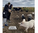 Певица Валерия кормила поросят на базе "LaDacha" под Астраханью