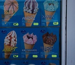 Фото дня: отмороженная дружба народов