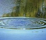 В Астраханской области найдено тело утонувшего уроженца Дагестана