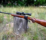 В Астраханской области обнаружили тела еще одних охотников