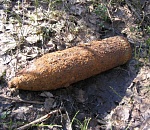 В Астраханской области железнодорожники обнаружили опасную находку