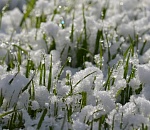 Какие сюрпризы преподнесет астраханцам погода в последний месяц зимы