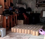 В частном доме Астрахани обнаружили 315 кг сомнительной щучьей икры 