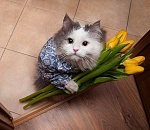 С Международным женским днем!