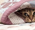 Астраханские спасатели выпустили штормовое предупреждение