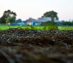 Астраханка хитростью и обманом заполучила земельный участок