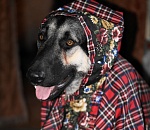 Завтра в Астрахани будет еще холоднее