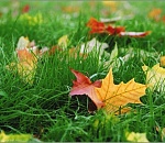 В Астрахани лето задержится до конца сентября